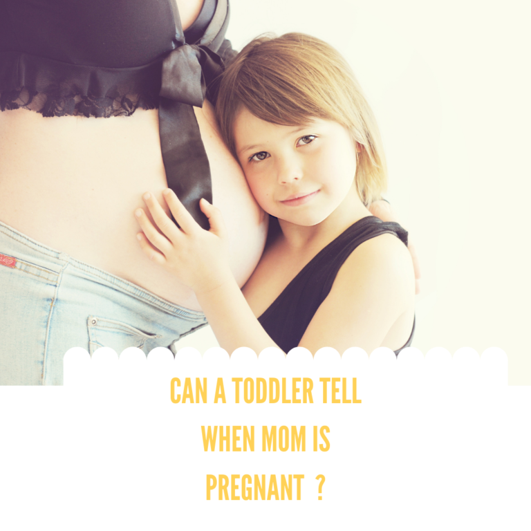 Can a Toddler tell when mom is Pregnant