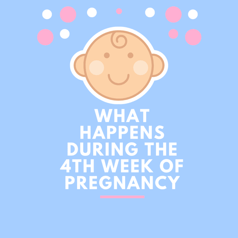What Happens During the 4th Week of Pregnancy