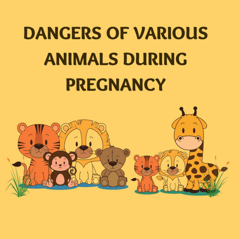 Dangers Of Various Animals During Pregnancy