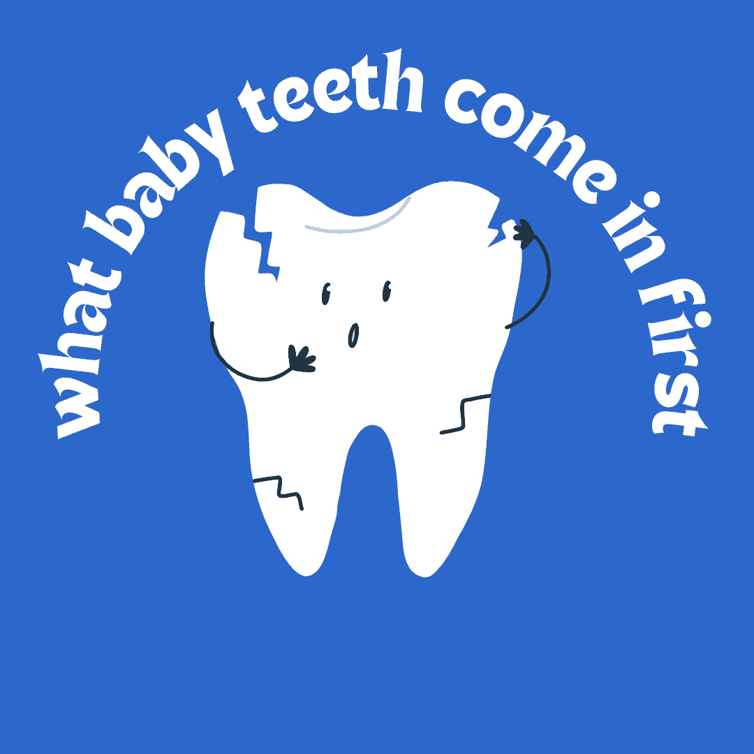 what-baby-teeth-comes-in-first